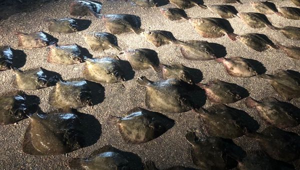 В западной части Азовского моря задержано маломерное судно с четырьмя гражданами Украины на борту без документов