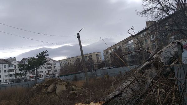 В Феодосии штормовой ветер валит деревья