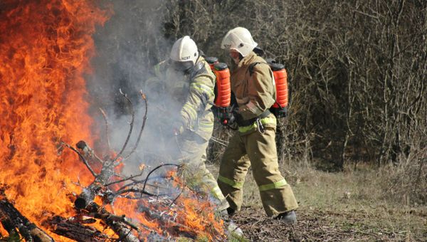 В Крыму прошли учения МЧС по тушению лесных пожаров