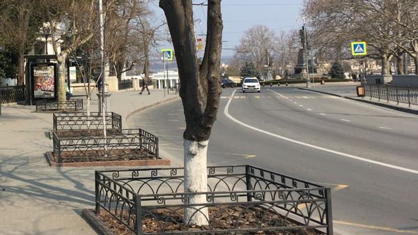 Проспект Нахимова абсолютно пуст Проспект Нахимова абсолютно пуст