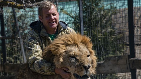 Тайган Парк Львов