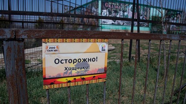 Тайган парк львов весна