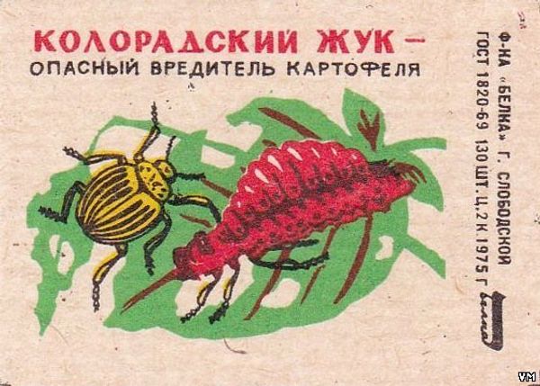 Как полосатый диверсант дошел до Крыма
