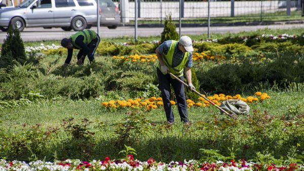 Симферополь благоустройство