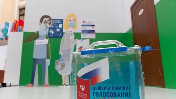 Голосование по поправкам в конституцию