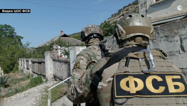 Задержание пособников украинских радикалов