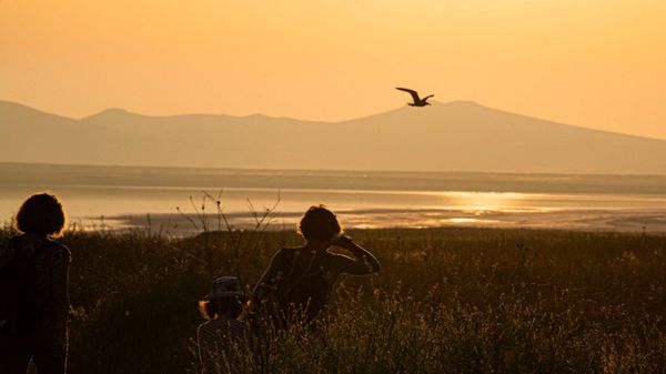 Турсезон в Крыму: все смешалось, кони, люди