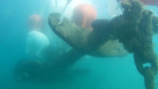 Со дна моря в Крыму подняли пятитонный якорь с линкора Со дна моря в Крыму подняли пятитонный якорь с линкора