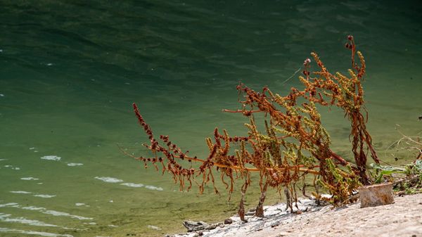Северо-крымский канал с водой
