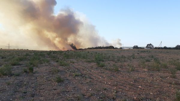 Под Бахчисараем пять часов тушили крупный пожар в лесу Под Бахчисараем пять часов тушили крупный пожар в лесу