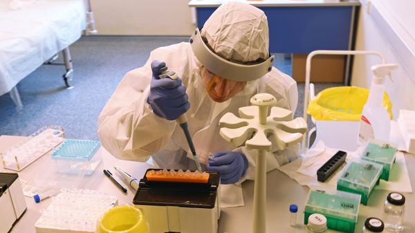 Экспресс-тестирование на COVID-19 в аэропорту Внуково