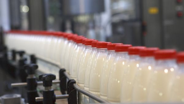 Производство молочных продуктов