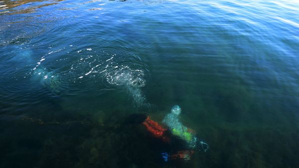 Водолазы МЧС РФ обследуют акваторию побережья Алушты