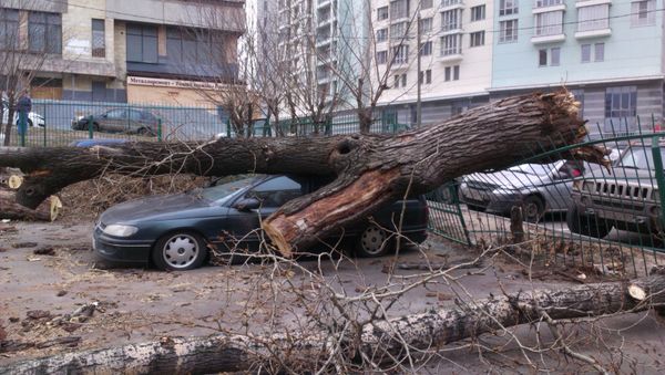 Ураган в Москве