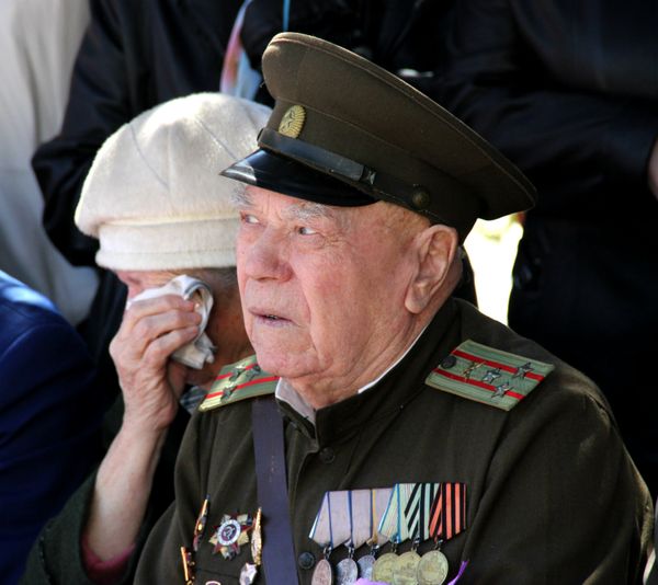 Керчь Сирень победы Керчь Сирень победы