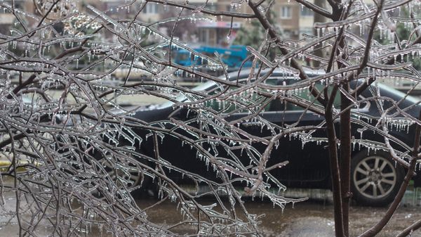Заморозки