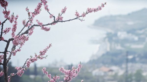 Весна в Крыму