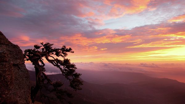 Виды Крыма
