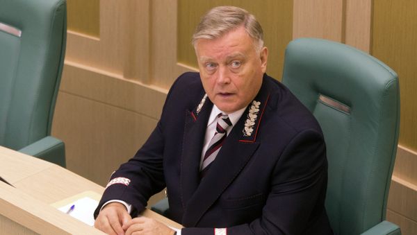 Президент ОАО Российские железные дороги Владимир Якунин, архивное фото